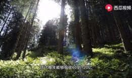 月升沧海万萋萋吃瓜视频,揭秘吃瓜视频背后的精彩故事