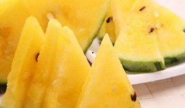 吃瓜的勺子可以干嘛呢视频,多功能神器，轻松应对生活小困扰