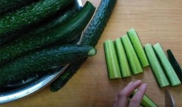 圆丑瓜怎么吃最好吃视频,解锁最佳食用之道