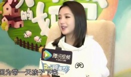 吃瓜视频打架三段,一场网络暴力下的现实对抗