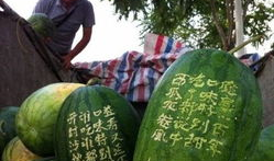 郑州七中吃瓜视频,校园生活幕后揭秘