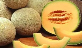 多人吃哈密瓜好不好呀视频,美味与欢乐同行