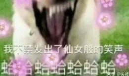 猜拳吃瓜搞笑视频合集,猜拳吃瓜搞笑视频合集大放送