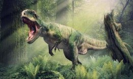 带你吃瓜恐龙特效视频,带你领略特效视频中的奇幻之旅