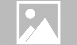 吃瓜群众斗牛视频大全集,吃瓜群众视角下的精彩瞬间大盘点