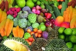 海南三亚网红吃瓜视频,揭秘热带风情下的美食诱惑