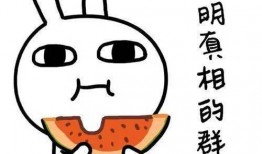 大熊骂人酒神吃瓜视频播放