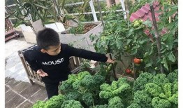 种菜吃瓜视频大全