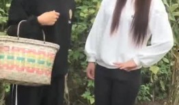 爬山吃瓜女孩视频大全,爬山吃瓜女孩视频大全，揭秘网络红人幕后故事