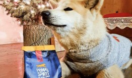 偷瓜狗吃土狗视频大全集,视频大全集精彩回顾