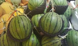 海南三亚网红吃瓜视频,揭秘热带风情下的美食诱惑