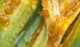 大家都吃瓜视频,揭秘热门视频背后的娱乐狂欢