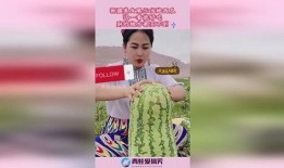 新疆西瓜美女吃瓜视频,瓜香四溢的美丽瞬间