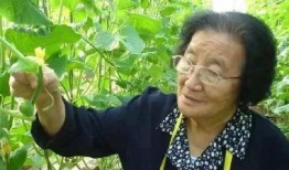 鹤壁校园欺凌吃瓜视频,网络吃瓜群众热议校园暴力现象