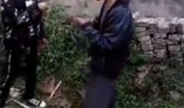 老大爷砍瓜吃视频,老大爷砍瓜吃，传承民间生活智慧