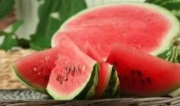 定州凤翔园吃瓜视频,揭秘瓜农生活与丰收喜悦