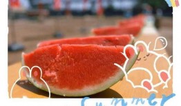 蛋仔大型吃瓜现场视频大全,趣味视频大盘点