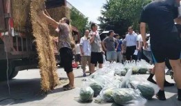 学生免费吃瓜视频,学生免费吃瓜活动欢乐上演