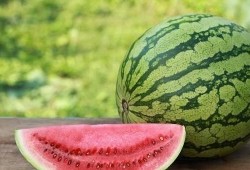 看戏吃瓜西瓜被抢视频,看戏吃瓜西瓜被抢，现场视频曝光