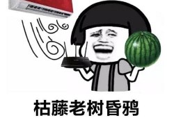 外国人看吃瓜自由吗视频,揭秘网络舆论场的国际观察