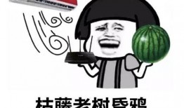 外国人看吃瓜自由吗视频,揭秘网络舆论场的国际观察