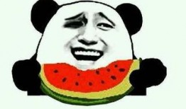 吃瓜 最新视频,热点事件背后的真相与思考