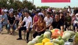 青岛红狮吃瓜群众视频,一场全民围观的热闹盛宴