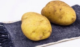 吃蜜瓜和土豆能减肥吗视频,揭秘神奇搭配助你轻松瘦身