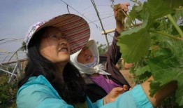 美七在莱西吃瓜视频,揭秘网红美食背后的故事