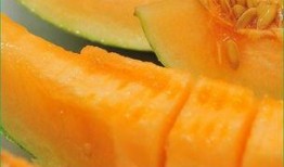 小猫可以吃的哈密瓜吗视频,揭秘哈密瓜在猫咪饮食中的适宜性