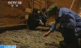 考古吃瓜视频完整,揭秘古墓奇闻，带你穿越时空探秘