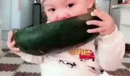 超好玩的吃瓜娃娃视频,揭秘超好玩的视频幕后故事