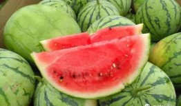 吃瓜视频的时间,揭秘吃瓜视频背后的时间奥秘