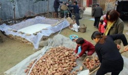 砀山县吃瓜事件视频最新,一场引发热议的网络视频风波