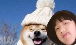 费曼吃瓜路人完整视频,一场趣味横生的视觉盛宴