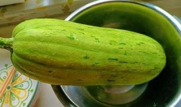 吃九月瓜有哪些好处呢视频,秋季养生必备佳品