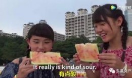 圆丑瓜怎么吃最好吃视频,解锁最佳食用之道