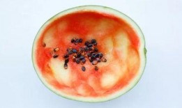 吃瓜的勺子可以干嘛呢视频,多功能神器，轻松应对生活小困扰