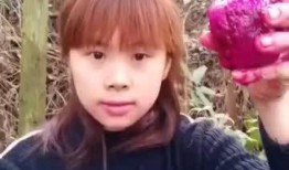 沙雕搞笑吃瓜视频大全集,带你领略欢乐无限