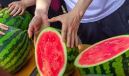 云南高校视频吃瓜,学生吃瓜成网红现象