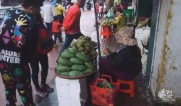 南宁交院吃瓜事件视频,校园风波视频曝光引热议