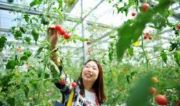 美七在莱西吃瓜视频,揭秘网红美食背后的故事