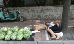 砀山县吃瓜事件视频最新,一场引发热议的网络视频风波