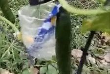 巴州吃瓜事件真相视频大全,揭秘真相背后的视频大全