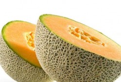 狮头鹅吃哈密瓜的视频,一场跨界美食之旅