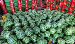 宁波花店吃瓜事件视频,一场意外的“甜蜜”风波