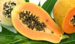 吃瓜吃熟透的好吗视频,揭秘“吃瓜吃熟透”视频背后的趣味与思考