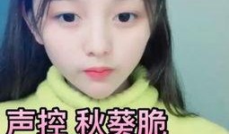 吃瓜少女淑芬皮蛋视频,吃瓜少女的美食探秘之旅