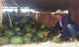 吃瓜群众哭的视频大全,吃瓜群众哭视频大盘点