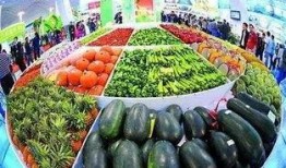 哈尔滨漫展吃瓜视频,揭秘幕后花絮与精彩瞬间